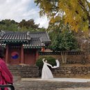 효자비 | 四字成語 총정리 &lt;ㄱ&gt; 859 구례운조루~구례화엄사화엄석경