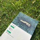 월든 | 도파민 중독자가 읽어본 월든 후기