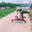 망성면사무소 이미지