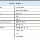 라파엘동물병원 이미지