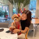 담담 그루밍 샵 이미지