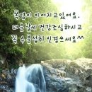 엉덩이 기억상실증 이미지