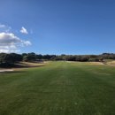 해비치cc 이미지