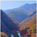 강천산군립공원 이미지