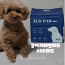 오드(AUD) | 흡수력·냄새 둘 다 잡은 강아지배변패드 졸리젤리 오드AUD 배변패드