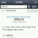 인터스키의 뜻 이미지