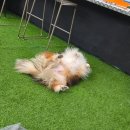 뽀고가고 게임존 | 신림파티룸, 아직도 보드게임만 하는 수준이신가요..