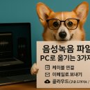 클라우드 PC | 음성녹음 파일 PC로 옮기는 3가지 방법, 케이블부터 클라우드까지 정리