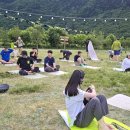 다이브인투 | 2025 다이브 인투 울릉 후기 3