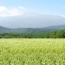 떡이야기 이미지