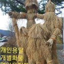 개인화물29