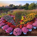 신흥근린공원 이미지