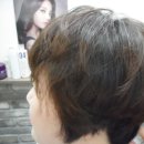 상남동미장원 네이버블로그