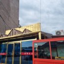 목화반점 이미지