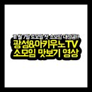 광성TV 이미지