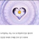 진일목장 이미지