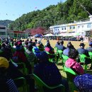 양양읍민 한마당 큰잔치 이미지