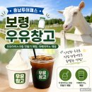 천북청국장 | 충남 보령 우유창고 | 충남투어패스 아이스크림 만들기 우유창고 카페 와 근처 맛집 우유창고 체험장