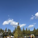 돼지천만마리 | &lt;2025년 익산천만송이국화축제 후기&gt; 아름다운 가을아 가지마 | 신혼부부 나들이