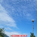 광성농장-2 이미지