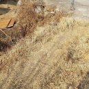 성민공인중개사사무소 이미지