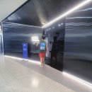 연합동물병원 | 노령견 쿠싱증후군 의심! 간영양제 사메탑 급여후기