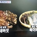 베이컨가평 네이버블로그