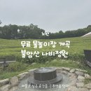 힐링타운 | 노원 나비정원 물놀이장 후기 | 불암산 힐링타운 계곡, 바닥분수