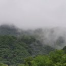 용수목산장