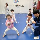 현대 경희대 태권도 이미지