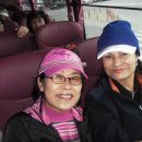 여주제일고등학교 이미지