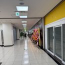 부천뉴코아리스트 | 신규 오픈한 고메스퀘어 부천 소풍 뉴코아 초밥뷔페 평일 런치 후기
