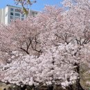 이소영헤어 - 관악구 | 이소영헤어