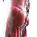 지투피트니스 이미지