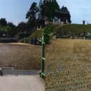 김정선생묘소일원 이미지