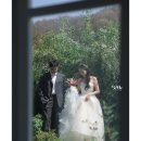 서지현헤어 | 전주 비마이 웨딩 스드메 촬영 후기 당일 계약 내돈내산