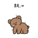솔내음숲속작은집 네이버블로그