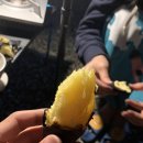 청계산 골든밸리 가족캠핑장
