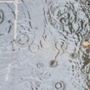 롯데리아분평점 이미지