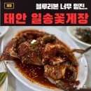 일송 | 태안 안면도 일송꽃게장, 후기 메뉴가격 주차정보 내돈내산