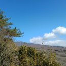 서귀포자연휴양림 | 서귀포 자연휴양림 방문후기