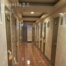 아이비하우스 - 종로구 창경궁로 246-3 | 아이비하우스
