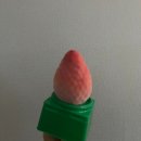 GS25무실코아루점 | GS25 신상 디저트 아이스크림 프로즌 딸기 소보레 내돈내산 후기