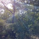 서도면-1 이미지