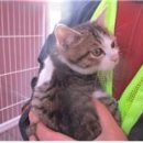 가야지구대 이미지