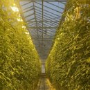 용준농장 이미지