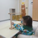 감각교육주
