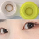 오렌즈동대구역점 | 오렌즈 하이델 골드라떼 실리콘하이드로겔 렌즈 #내돈내산 5년 사용 후기