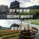 해바라기카페 | 경주 하동 핫플 맨드라미 해바라기 한옥 카페 바실라 팥빙수 후기 내돈내산