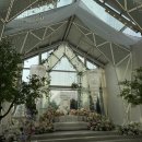 (주)지디서울 | 결혼준비의 시작, 빌라드지디안양 갤러리아홀 계약